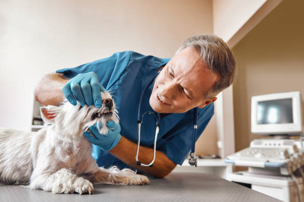 Best Emergency Dental Surgery in Mante, CA